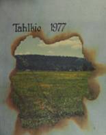 Tyee High School 1977 yearbook cover photo