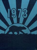 1973 Hallock High School Yearbook from Hallock, Minnesota cover image