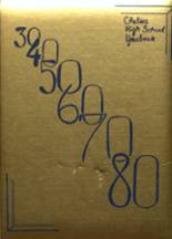 1980 Chelsea High School Yearbook from Chelsea, Michigan cover image