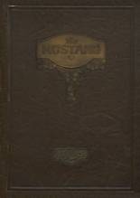 1925 Grapevine High School Yearbook from Grapevine, Texas cover image