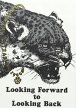 1990 De Queen High School Yearbook from De queen, Arkansas cover image