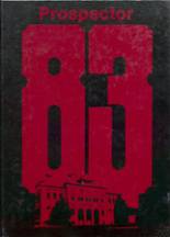 1983 Shullsburg High School Yearbook from Shullsburg, Wisconsin cover image