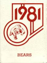 Big Bear High School 1981 yearbook cover photo