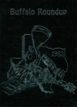 1982 Stanton High School Yearbook from Stanton, Texas cover image