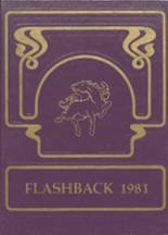 Central Arkansas Christian High School 1981 yearbook cover photo