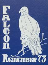 1973 Langley High School Yearbook from Langley, Washington cover image