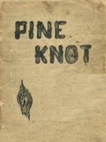 Pine Valley Central High School 1949 yearbook cover photo