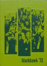 1973 Stockton High School Yearbook from Stockton, Illinois cover image