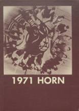 Marshall High School 1971 yearbook cover photo