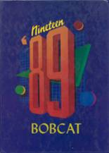 Binger-Oney High School 1989 yearbook cover photo