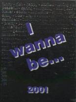 Granbury High School 2001 yearbook cover photo