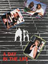 Dana Hills High School 1988 yearbook cover photo