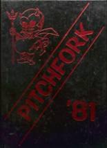 Avon Park High School 1981 yearbook cover photo