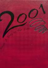 Adel-De Soto-Minburn High School 2001 yearbook cover photo