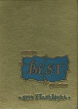 Abilene High School 1994 yearbook cover photo