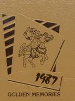 1987 Mt. View High School Yearbook from Welch, West Virginia cover image