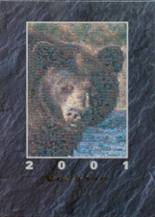 Bradley Central High School 2001 yearbook cover photo