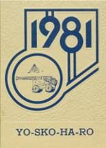 Schoharie High School 1981 yearbook cover photo