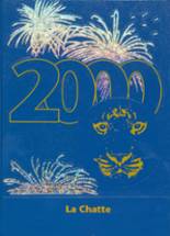 2000 Lakeview High School Yearbook from Lakeview, Michigan cover image