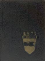 Lee High School 1973 yearbook cover photo