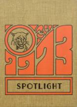 1973 Luray High School Yearbook from Luray, Kansas cover image