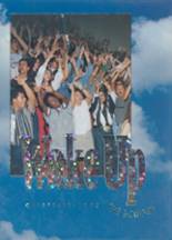 Lake View High School 1995 yearbook cover photo