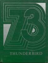 1973 Browns Valley High School Yearbook from Browns valley, Minnesota cover image
