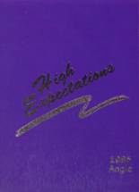 1985 Angleton High School Yearbook from Angleton, Texas cover image