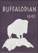 New Buffalo High School 1965 yearbook cover photo