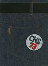 Crestline High School 1973 yearbook cover photo