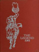 1981 Sleepy Hollow High School Yearbook from North tarrytown, New York cover image