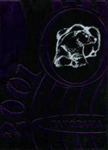 2001 Northern High School Yearbook from Dillsburg, Pennsylvania cover image
