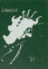 1981 St. Mary's High School Yearbook from St. louis, Missouri cover image