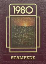 Stanley County High School 1980 yearbook cover photo