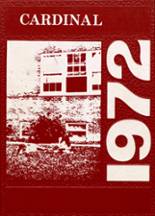 Cokato High School 1972 yearbook cover photo