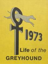 1973 Salem High School Yearbook from Salem, Arkansas cover image