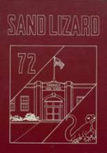 Dardanelle High School 1972 yearbook cover photo
