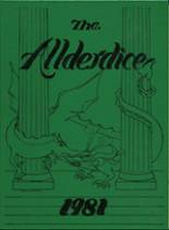 Allderdice High School 1981 yearbook cover photo