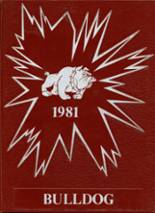Empire High School 1981 yearbook cover photo