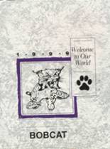 1999 Dumas High School Yearbook from Dumas, Arkansas cover image