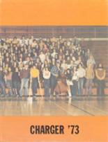 Dow High School 1973 yearbook cover photo