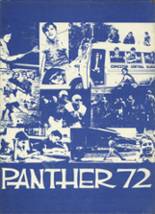 1972 Edmeston Central School Yearbook from Edmeston, New York cover image
