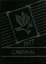 Fort Worth Academy 1987 yearbook cover photo