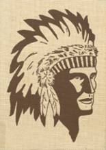 1974 Seminole County High School Yearbook from Donalsonville, Georgia cover image