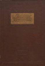 1929 Decatur High School Yearbook from Decatur, Alabama cover image