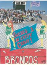Coopersville High School 1993 yearbook cover photo