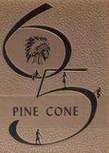 White Pine High School 1965 yearbook cover photo