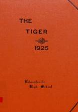 1925 Edwardsville High School Yearbook from Edwardsville, Illinois cover image