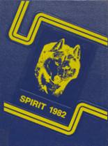 Northern High School 1982 yearbook cover photo