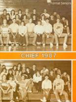 Meredosia Chambersburg High School 1987 yearbook cover photo